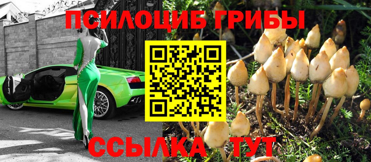 Кемерово  где можно купить   Галлюциногенные грибы мухоморы  Вход с VPN  Галлюциногенные грибы Psilocybe 